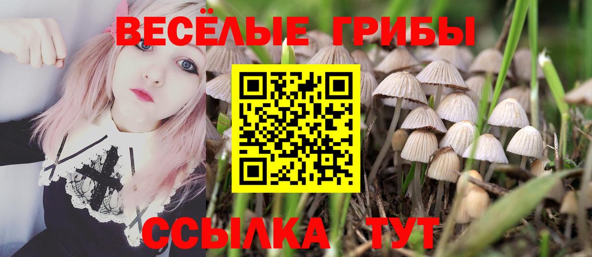 Галлюциногенные грибы GOLDEN TEACHER Усть-Джегута