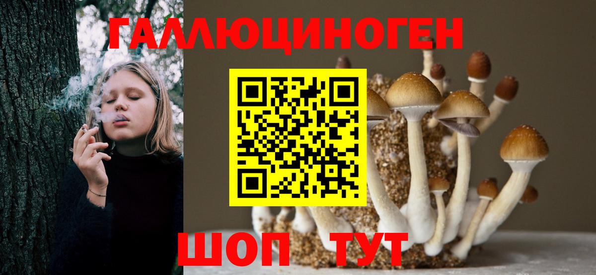 Псилоцибиновые грибы MAGIC MUSHROOMS  Вход с VPN  Псилоцибиновые грибы прущие грибы  Усть-Джегута 